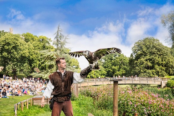 The falconry show is amazing – just ignore the storyline.