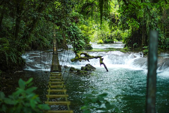 A circuit takes visitors across a series of suspended bridges at Eden on the River.