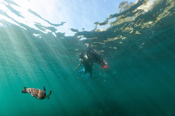 You don’t have to be out of sight of land to explore the treasures of the deep. 