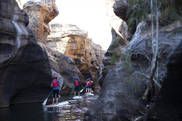 Wall-to-wall beauty –  paddle-boarding through Cobbold Gorge.