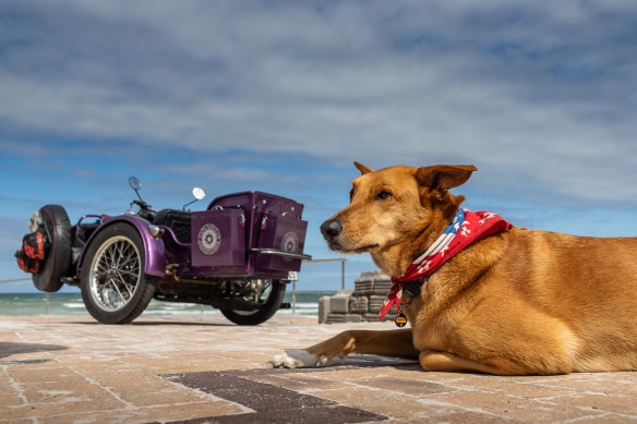 Have dog, will travel.