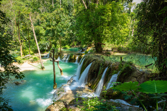 Tad Sae Waterfall in Luang Prabang province, Laos.