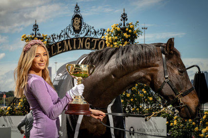 The good old days: Nadia Bartel was once a Melbourne Cup ambassador.