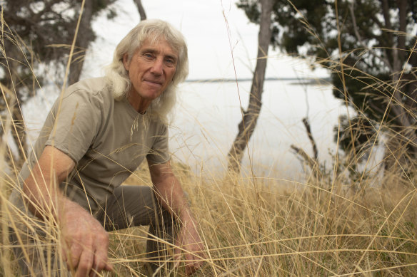Mallacoota resident Martin Ascher looking for wasp nests in the grass. 