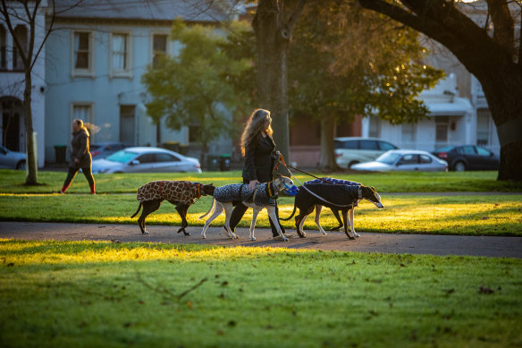 Melburnians and their pets rug up for a morning walk. 