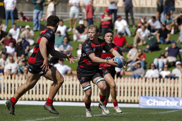Luke Gersekowski looks to pass at North Sydney Oval.