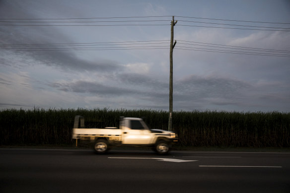 Sugar cane country in northern Queensland.