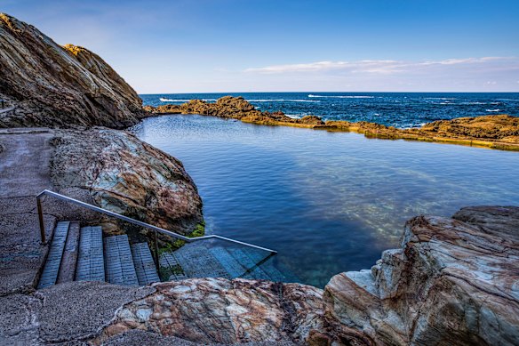 At Bermagui’s scenic Blue Pool you might see seals by the sea shore.