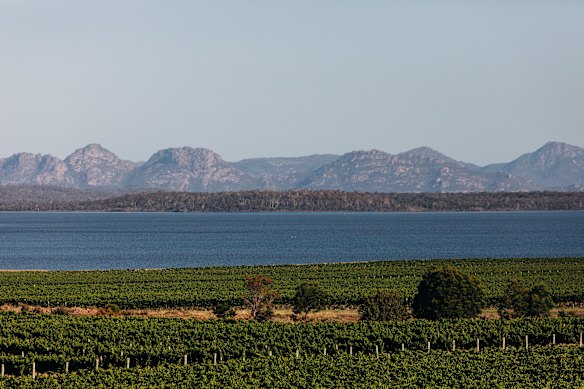 The dangers in the distance, through the water laguna and the diavil corner vines.