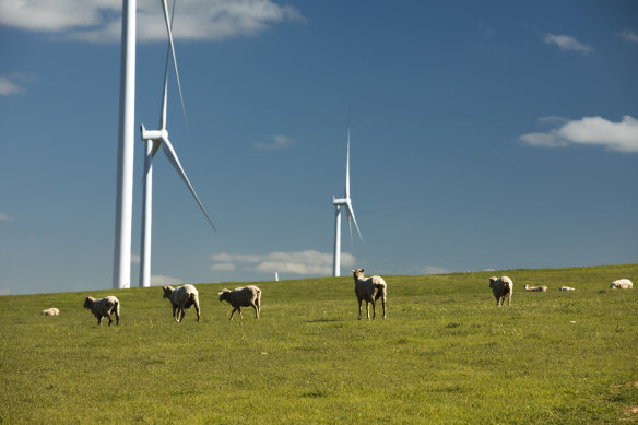 Hornsdale wind farm in South Australia.