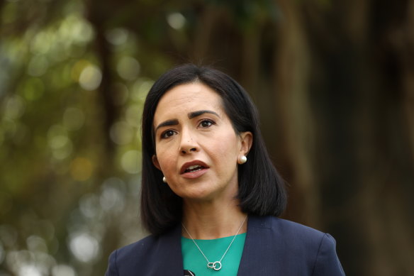 Labor’s education spokeswoman Prue Car says the plan “sets a very dangerous precedent”.