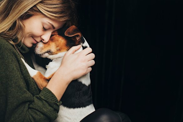 In previous studies, scientists have found that contact between dogs and humans gives both a boost of oxytocin, the bonding hormone that surges in parents and babies.