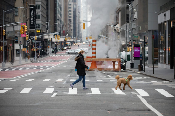 A pedestrian wearing a mask walks a dog across deserted Madison Avenue in New York City.