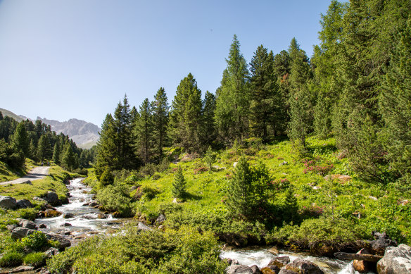 Much of the Lower Engadine region is untouched national park.