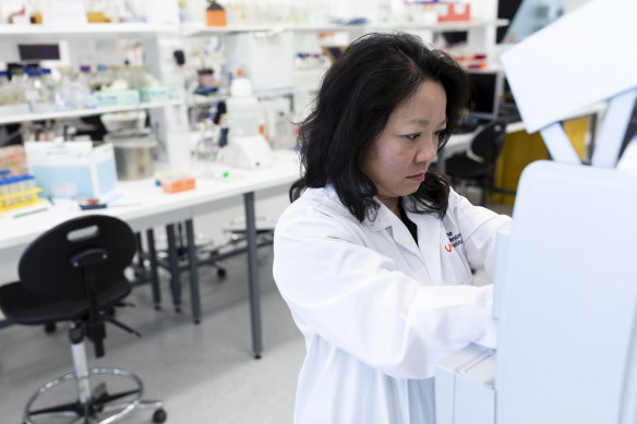 Phage researcher at Sydney’s Centre for Infectious Diseases and Microbiology, Associate Professor Ruby Lin.