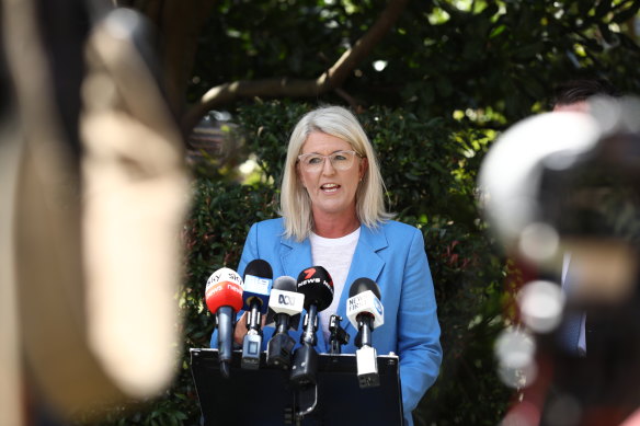 Domestic and family violence is an epidemic in NSW, says Police Minister Yasmin Catley.