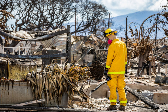 A search and rescue crew member works in an area destroyed by the Maui fires in Lahaina, Hawaii, on Wednesday.