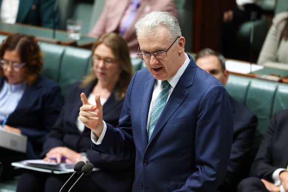 Misfire … Tony Burke.