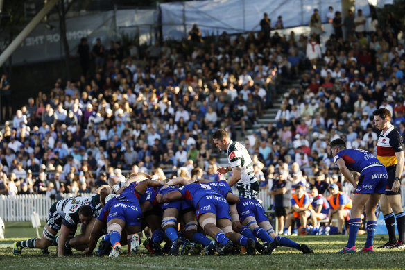 Rugby Australia is expected to announce on Tuesday that it has purchased the rights to the Shute Shield and Brisbane equivalent the Hospital Cup.