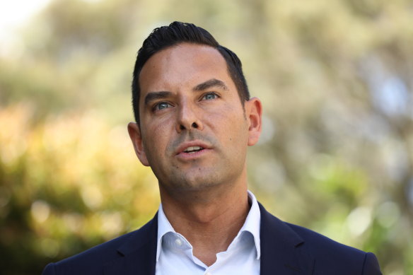 Independent MP Alex Greenwich.