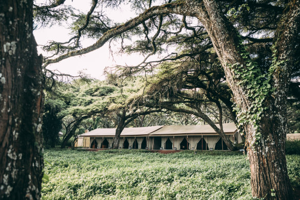 The Tanzania: Chimp Trekking and Serengeti Safari itinerary includes a stay at Ngorongoro Tortilis Camp.
