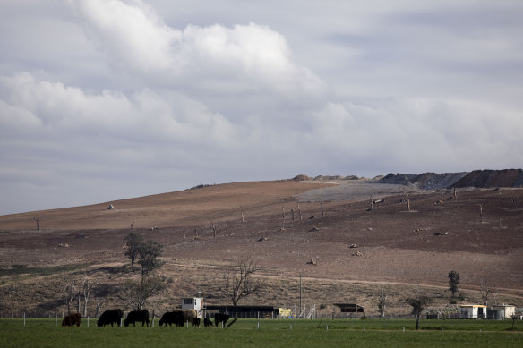 Rehabilitation at the edge of the Mount Pleasant coal mine in the Hunter Valley.