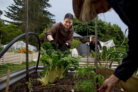 Community garden co-ordinator Millie Allsopp, in Sydney’s Manly Vale, likes how growing vegies gets her out of her unit and meeting new people.