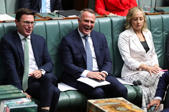 Tim Wilson during question time on Wednesday.