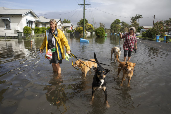 Denise Cooper, left, wrangles her dogs through the floodwaters with friend Lorraine Cook. 