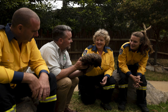 Taronga Zoo will open its doors to emergency service personnel to thank them for all their hard work fighting the NSW bushfires.