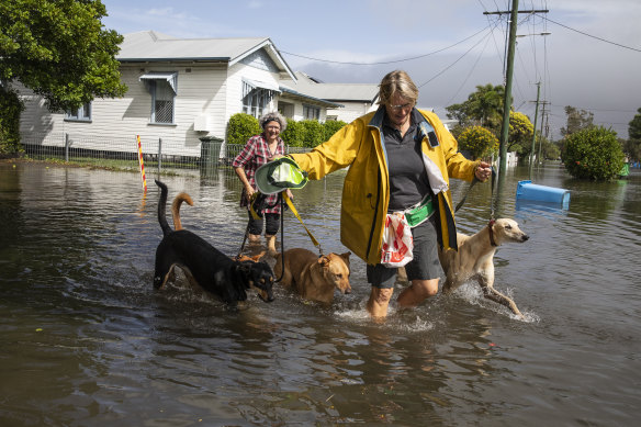 Ballina residents Denise Cooper and Lorraine Cook take their dogs for a walk in the low-level flooding.