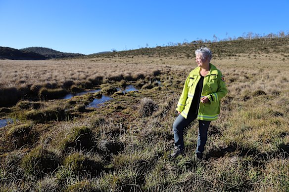 NSW Environment Minister Penny Sharpe inspecting recovery from damage caused by wild horses in Kosciuszko National Park.