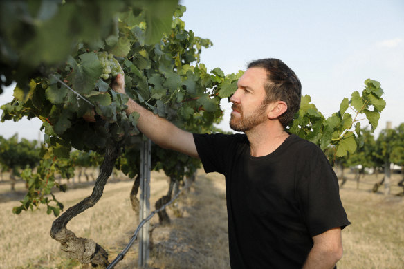 Mount Pleasant’s chief winemaker Adrian Sparks.