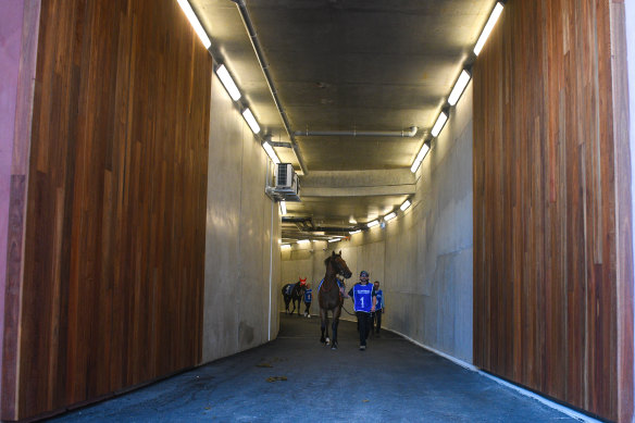 An underground tunnel now links the mounting yard at Caulfield Racecourse to the horse day stalls.