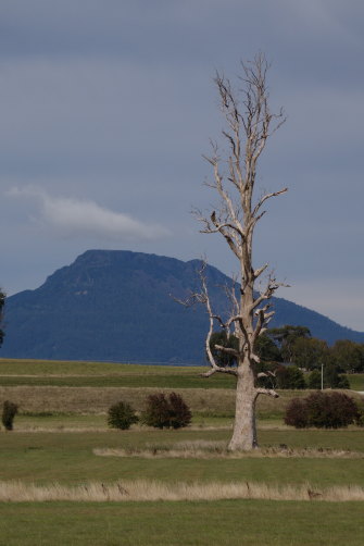 Video still from Julie Gough’s <i>Witness.