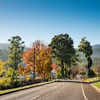 Road tripping through the Yarra Valley.