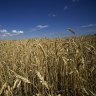 Ukraine, Russia reach deal on grain, but peace ‘a long way away’