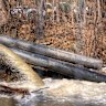 Sewage water is pumped into a canal as a temporary bypass for a broken segment of the Potomac Interceptor sewage pipe, near Cabin John, Maryland.