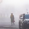Prosecutor Dr Nanette Rogers, SC walks through fog on June 10.