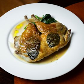 Saltimbocca di quaglia.