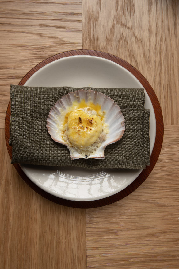 Abrolhos Islands scallop.