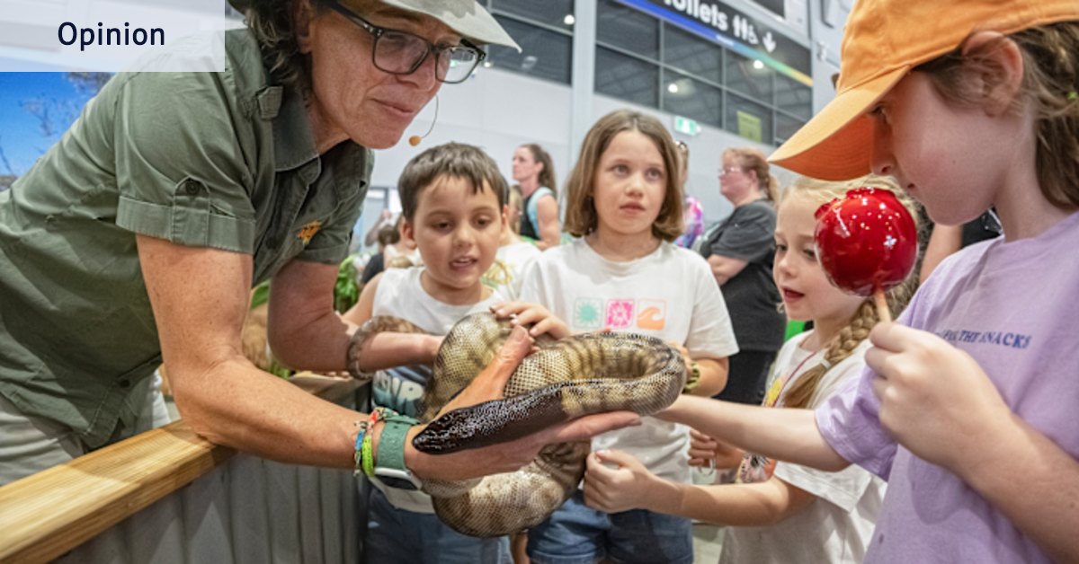 A haven for suburban kids