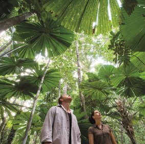 The wet tropics were inscribed on the World Heritage register in 1988.