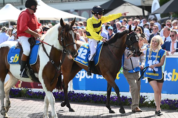 Ben Melham and Streisand return to the mounting yard after winning the Blue Diamond Stakes.