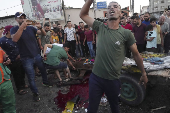 A young man walks on a highway in Gaza City as other residents inspect a wounded horse near the damaged car that killed those in the car and carriage in an Israeli airstrike on Sunday, August 7. are reacting.