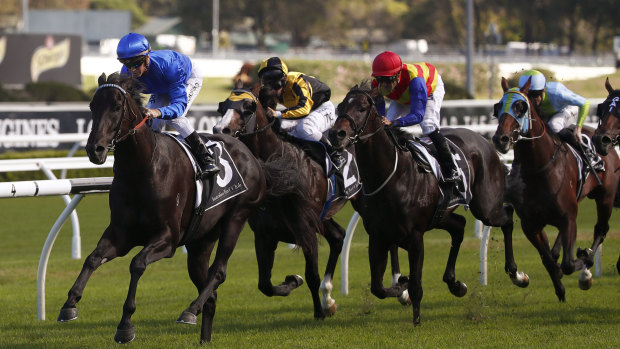 Turn of speed: Glyn Schofield and Kementari pull away from the field in the Randwick Guineas.