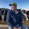 Foot and mouth disease threatens generations of dairy farmers’ hard work