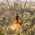 Line up to get this swinging shot, for $15. Alternatively, just enjoy the view.
