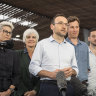 After Queensland ‘Greenslide’, Bandt promises Albanese stability
