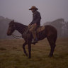 High horses: the fight to save Australia's alpine brumbies